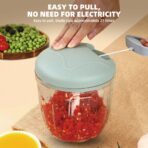 Vegetable Fruit Chopper