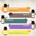 Rain Cloud Humidifier Water Drip, Mushroom Rain Cloud Diffuser with Essential Oils - Image 3